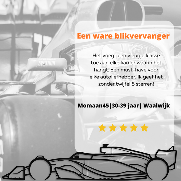 Formule 1 auto - Wanddecoratie - Max Verstappen - XL 97x21cm - Staal - Mat zwart - F1 - Raceauto